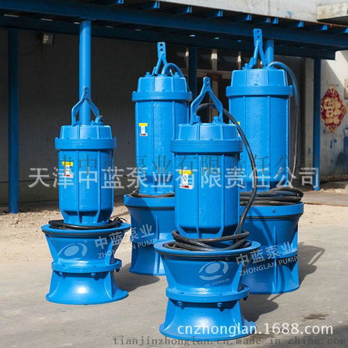 下吸式潜水泵型号 特点图