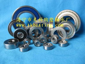 不锈钢轴承及其在水泵中的应用 探秘海宁市天科陶塑轴承厂